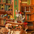 DIY Book Nook Kit: Magical Library w/ Dust Cover