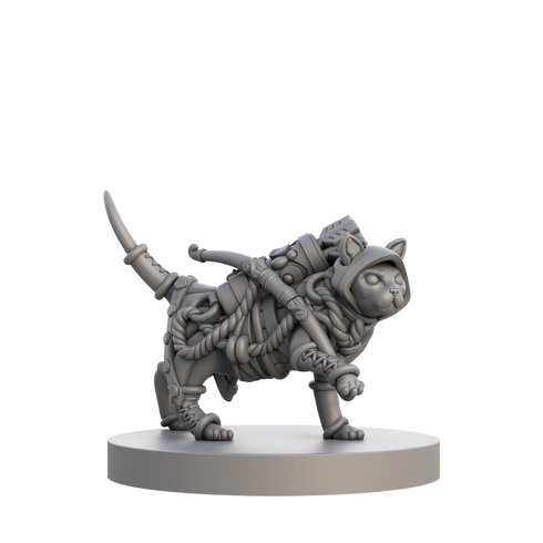 Animal Adventures: Cats and Catacombs Volume 1