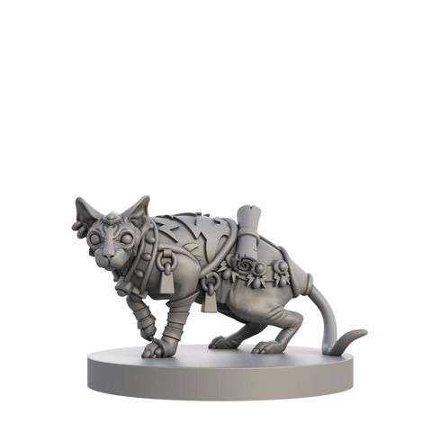 Animal Adventures: Cats and Catacombs Volume 1