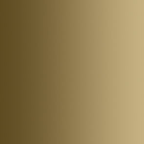 Vallejo: Xpress Color - Bag of Bones