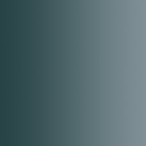 Vallejo: Xpress Color - Starship Steel