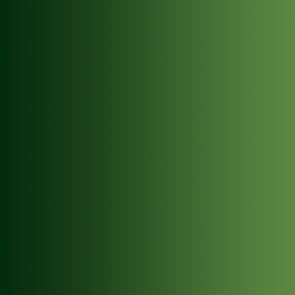 Vallejo: Xpress Color - Forest Green