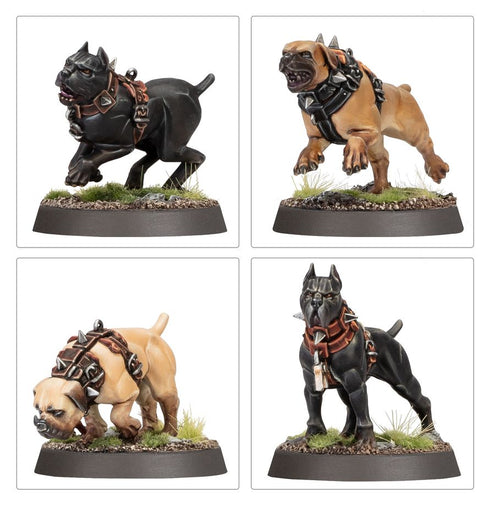 Warhammer Age of Sigmar: Cities of Sigmar - Ven Denst's Hounds