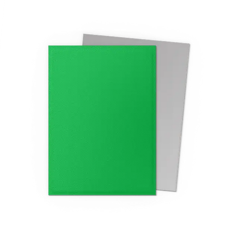 Dragon Shield: 100 Standard Size Dual Matte Sleeves - Apple Green & Silver