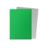 Dragon Shield: 100 Standard Size Dual Matte Sleeves - Apple Green & Silver