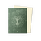 Dragon Shield: 100 Standard Size Matte Sleeves - Guildpact Series (Selesnya Conclave)