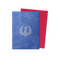Dragon Shield: 100 Standard Size Matte Sleeves - Guildpact Series (Izzet League)