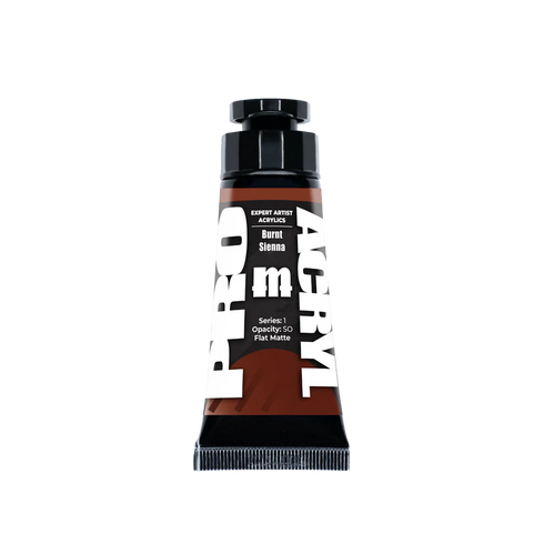 Pro Acryl: Expert Acrylics - Burnt Sienna