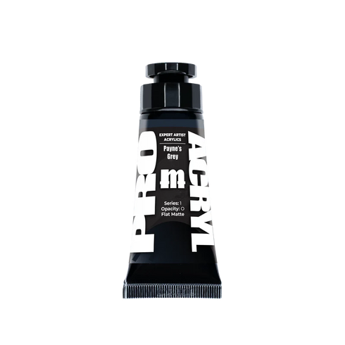 Pro Acryl: Expert Acrylics - Payne's Grey