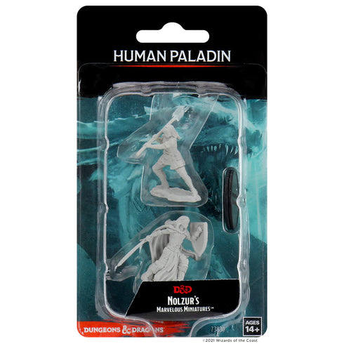 D&D Frameworks: Human Paladin Female